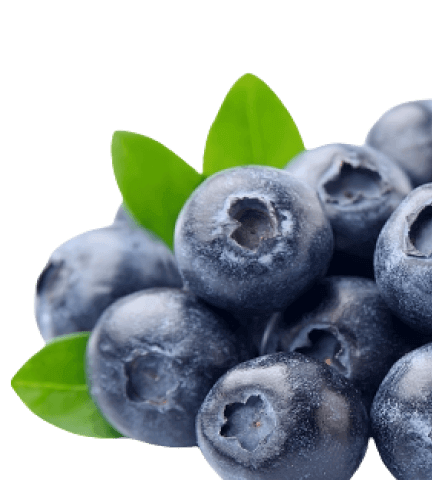 Berries from the garden